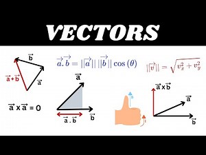 Everything You Need To Know About Vectors - Part-1