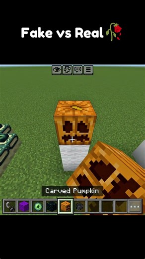 Fake vs Real #minecraft #minecraftshorts