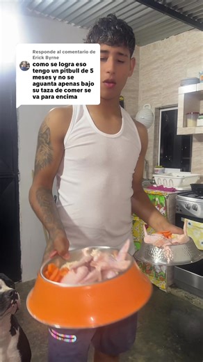 Cómo entrenar a un cachorro de Pitbull: consejos útiles