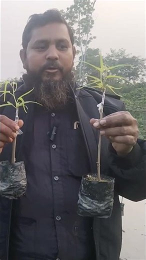 Dehradun malbari #shorts #shortvideo #viral