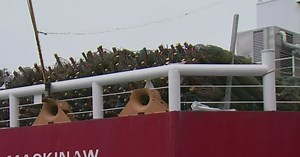 Chicago's Christmas tree ship is back at Navy Pier