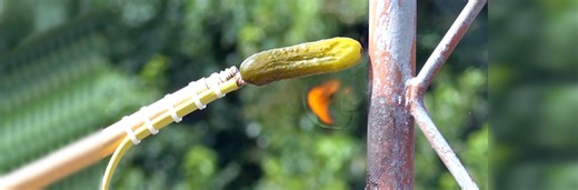 What happens when you touch a pickle to an AM radio tower?