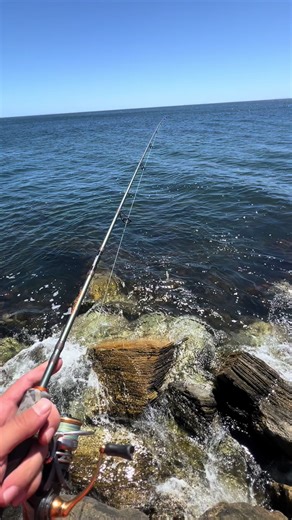 Exciting Squid Fishing Adventures After Work