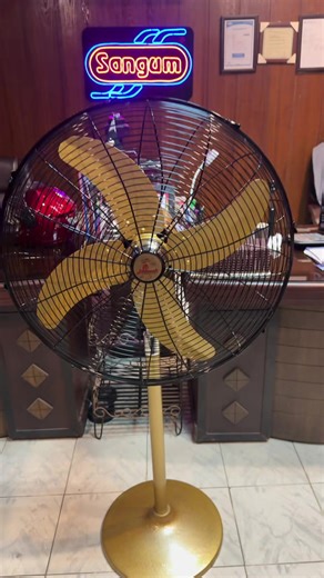 NEW Colour pedestal Fan #