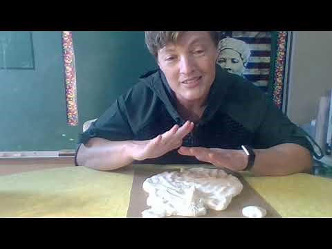 Creating Salt Dough Landforms
