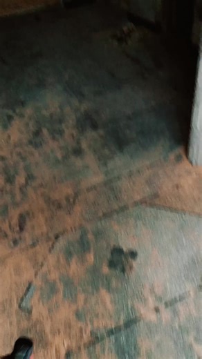 𝒟𝒶𝓃𝒾𝓎𝒶𝓁 𝒦𝒽𝒶𝓃 (@mr_dani113)’s videos with original sound - 𝒟𝒶𝓃𝒾𝓎𝒶𝓁 𝒦𝒽𝒶𝓃