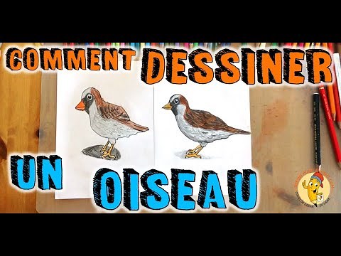 Comment dessiner un OISEAU facilement étape par étape | dessin pour enfant et ado