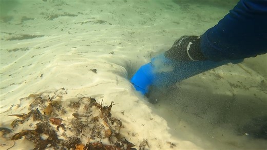 287 reactions · 69 shares | As spring break season approaches and...