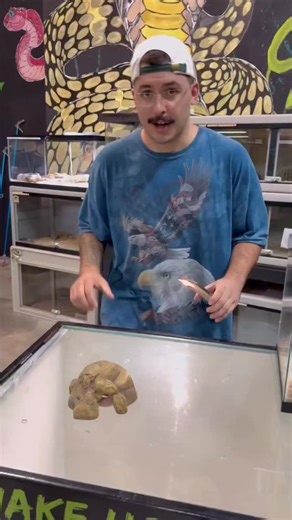 Vishweshwar Bengaluru on Instagram: "Glass cobra"