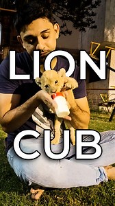 141K views · 1.8K reactions | Lion Cub Milk Time: Nurturing the Next...