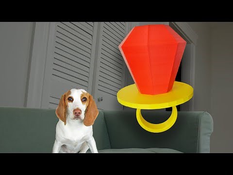 Puppy vs Giant Candy Ring Pop Prank! Indie Battles the Biggest Ring Pop Ever