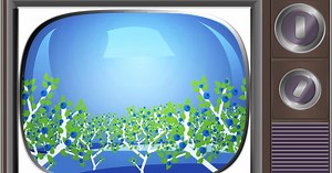 Fast Forward:Teachable Moment: Cross Pollination