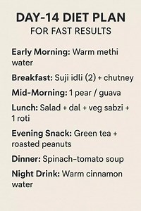 Day-14 Diet Plan for Fast Results Weight Loss | Diet Plan | Meal Plan | The Balanced Plate