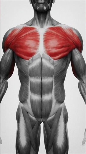 PUSH-UPS WILL TRANSFORM YOUR BODY!