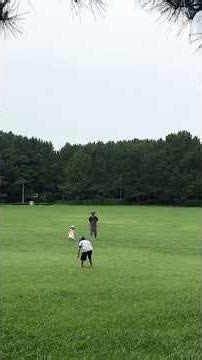 Kasai Rinkai Park View 02 | 葛西臨海公園 | Nam Mai TV