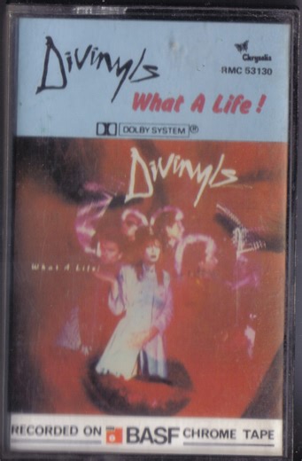 Divinyls - What A Life!
