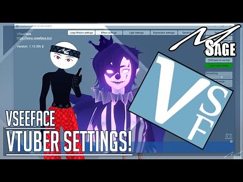 "BEST VTuber Settings?!" VSeeFace BASIC Settings Explained | MSage Tutorials
