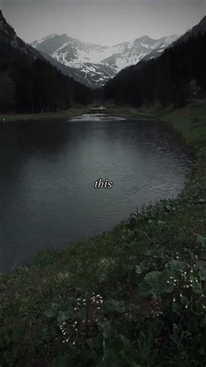 I'm getting tired I need somewhere to begin #song #lyrics #shorts