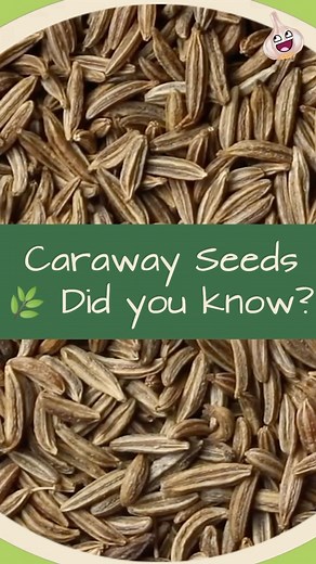 104 reactions · 45 shares | Caraway Seed’s Top 10 Benefits 殺 #carawayseeds | The Food Glossary | Facebook