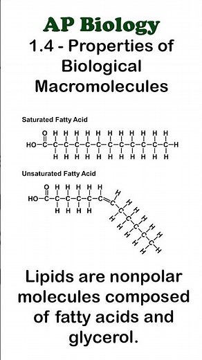 AP Bio - 1.4 Part 4 - Lipids #apbiology #biochemistry