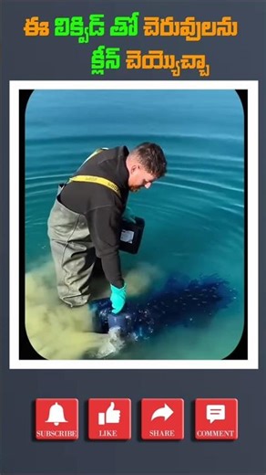 Lake Poison: Why Does This "Harmful" Blue Chemical Actually Save Fish?#shorts