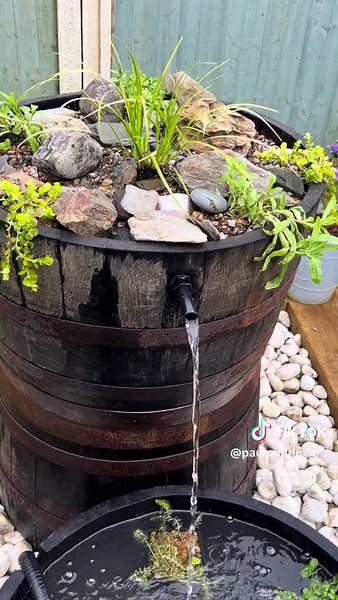 Innovative Bog Filter Ideas Using Whisky Barrels