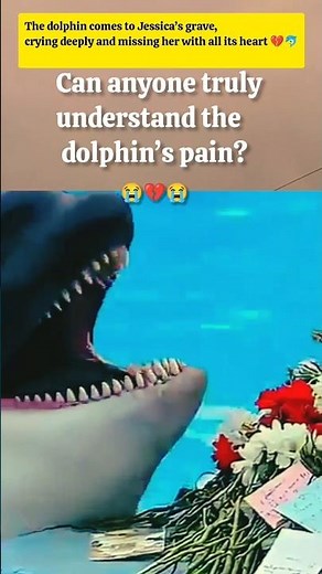 Dolphin Still Cries for Jessica 💔🐬 #viral #viralshort#trending #trendingstory