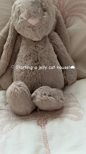 Creating a Cozy Jelly Cat House Experience