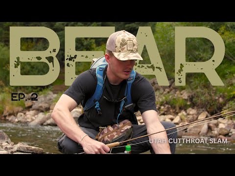 Fly Fishing for Bear River Cutthroat | Utah Cutthroat Slam — Into The Timber - Ep. 2
