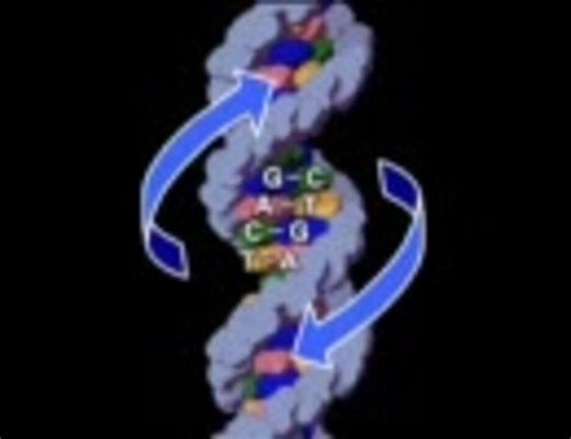 みてわかるDNAのしくみ　-Vol.2-