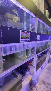 Winter Sale Information for Saltwater Fish and Coral Section!!