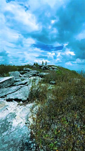 Appalachian Mountains: Exploring West Virginia’s Dolly Sods Wilderness