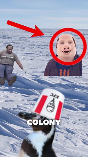 Penguin Adventure: Unusual Journey to the Mountains