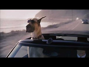 Marmaduke (HD Trailer 2010)
