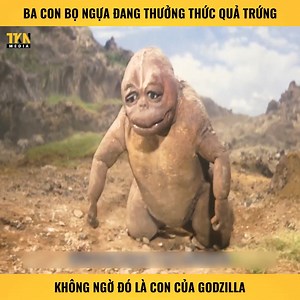 4.6M views · 10K reactions | Ba con bọ ngựa đang thưởng thức quả trứng, không ngờ đó là con của godzilla | AE Captain | Facebook