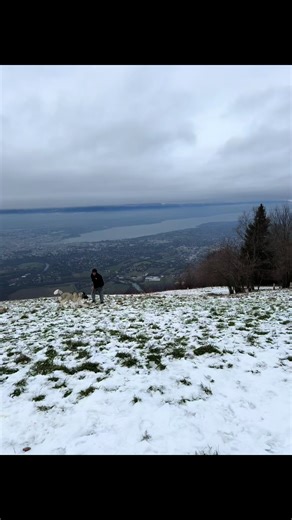 #lovedog #akitaamericain #life #daddog #enjoyment