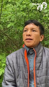 20 reactions · 13 shares | Listen to Maurício Yanomami, #Indigenous leader & health worker from Ixima village. "When there is mining, the animals we eat, the fish, the water... everything will be contaminated... The earth is a human being too, it feels pain. The earth needs peace, like us". #ForaGarimpo #SOSYanomami | Survival International | Facebook