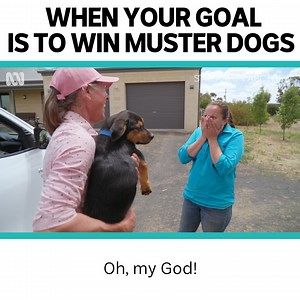 “I 100% think that I can train Australia’s next Muster Dog!” 🐶 Kaniva, VIC local, Kim Dodson, takes part in the latest season of Muster Dogs. Check out all the competitors here: https://ab.co/MusterDogsSeason3Participants Muster Dogs: Collies & Kelpies — Stream the new season from Sunday 2 February 7.30pm on ABC iview and ABC TV: https://ab.co/MusterDogs | ABC Melbourne