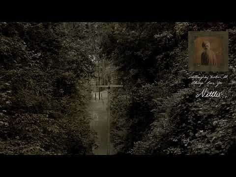 Ethel Cain - Nettles (Official Visualizer)