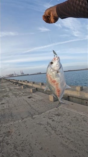 Caught using Duo jig