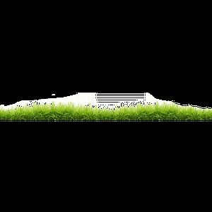 Small Line Of Grass transparent PNG - StickPNG