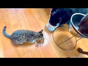 Recent Routine of My Family