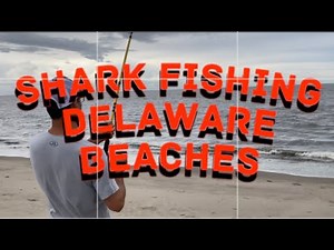 Surf Fishing Broadkill Beach Delaware for Sharks (Small Wonder Series : Season Two, Episode One)