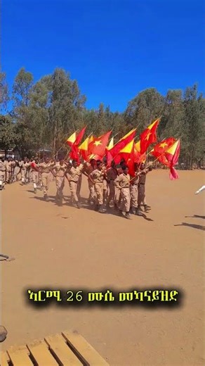 #serawit_tgray #habesha