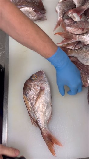 Nathan Hambly on Instagram: "Part1 of DIFFERENT FILLET TECHNIQUES. I’ve done a video with three different styles I’ve separated into 3 videos. I’m interested in hearing what your favourite way is, what you do different, knives used etc. let me know! #fish #fillets #snapper #tutorial #howto #fishtok #handline #linecaught #ikijime #brainspike #iceslurry #seafood #ocean #caught #tuna #inshore #fishmonger #victorinox #boning #sealife #graftonfishbutcher #realfishmongersofinsta #clarencevalley #coffs