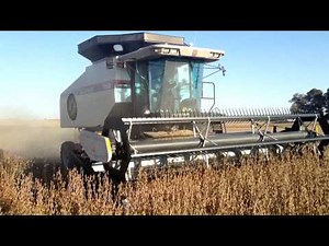 Fall Harvest 2014 with Gleaner R52