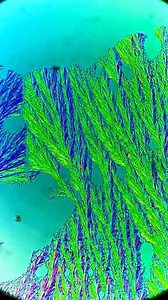 Crystal Growth Time-Lapse – Mesmerizing Transformation Captured