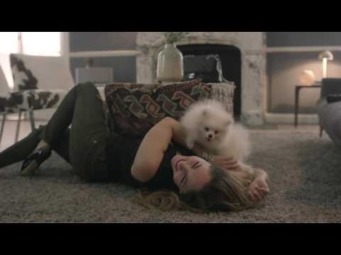 Alexander Acha – “No Separarnos Más” (Video Oficial)