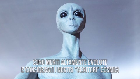 5 specie di alieni che sarebbero in contatto con noi