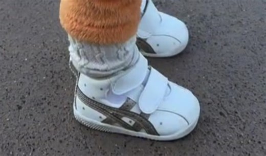 ディズニーで「めちゃくちゃかわいい」と視線を集めた1歳双子→まさかの姿に「こんな子達と遭遇したい」「たまらんです」と150万再生（1/3） | ディズニー ねとらぼ